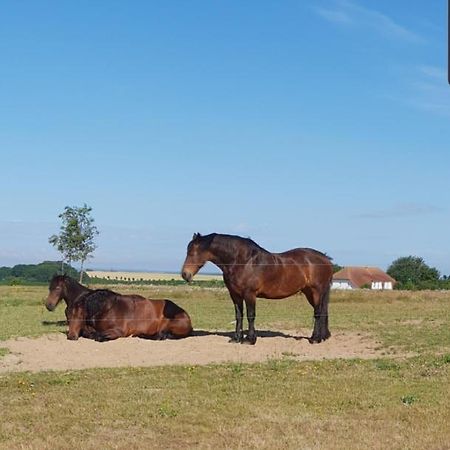 Ferienapartment Wiese & Meer Auf Ruegen Neddesitz Екстериор снимка